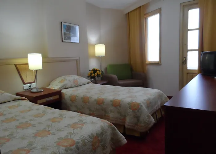 酒店 Aegean Park 马尔马里斯