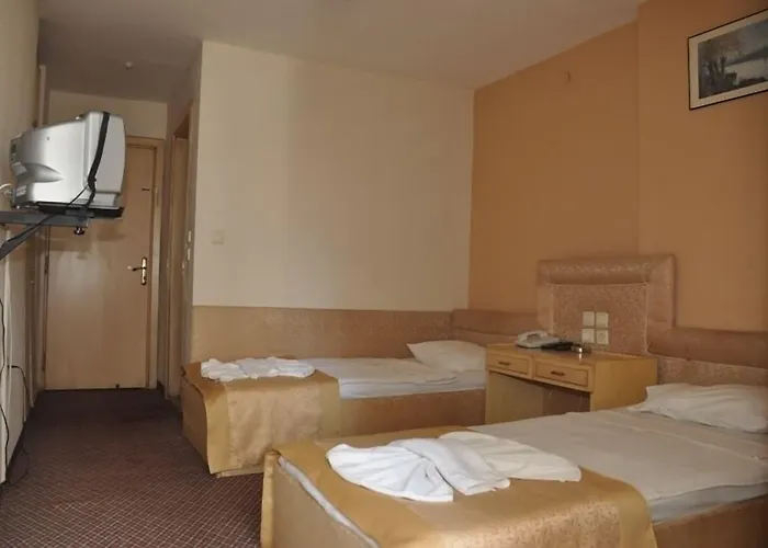 ホテル Aegean Park マルマリス