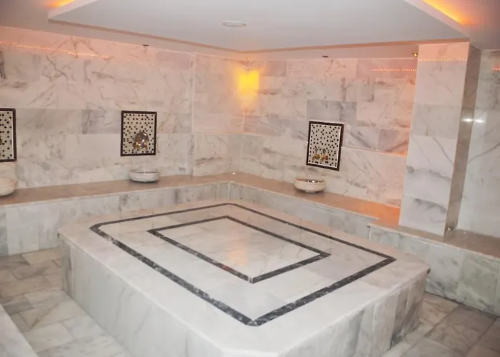 Aegean Park ホテル